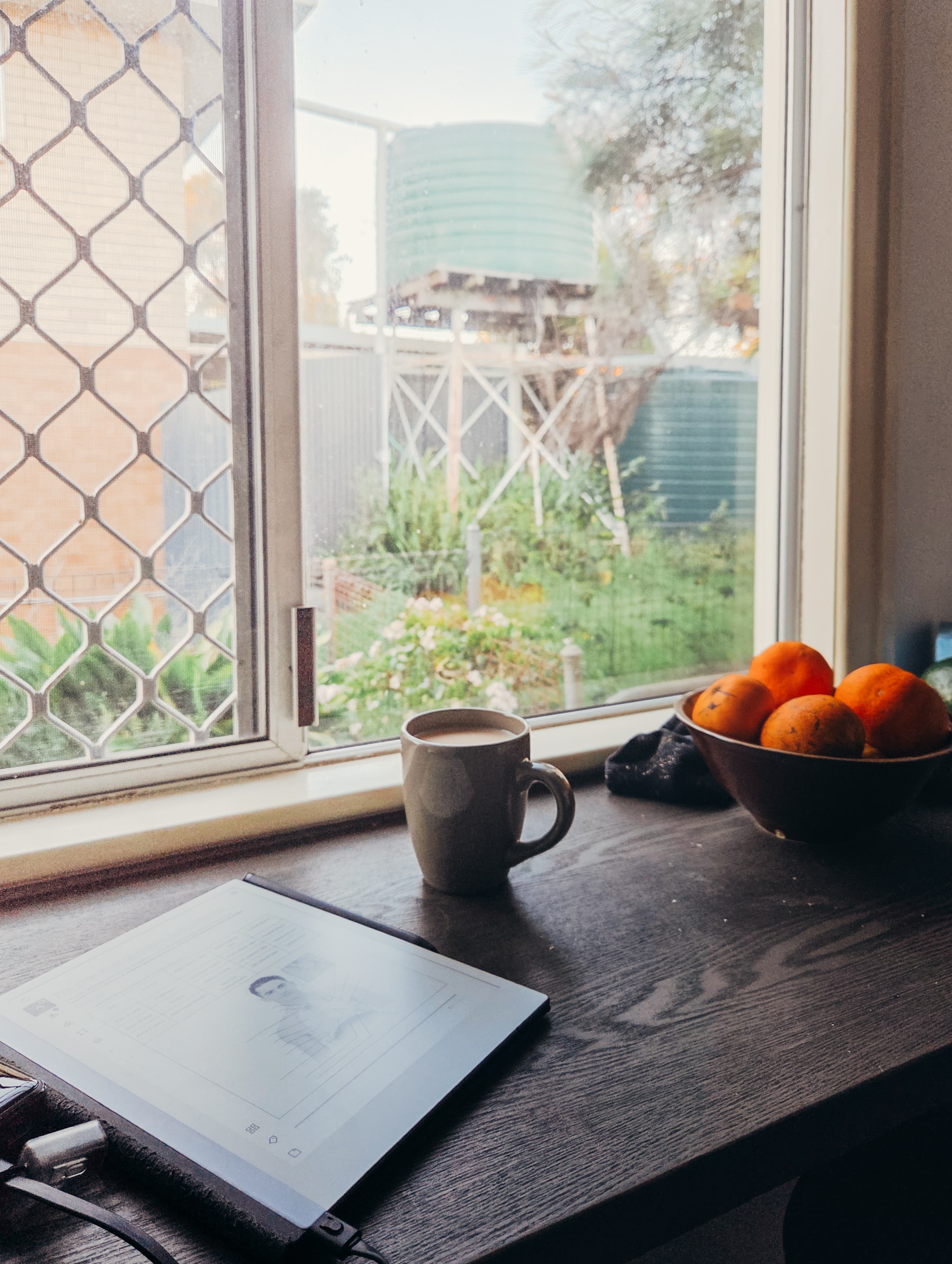 A mug of tea on a window sill looking out to the garden